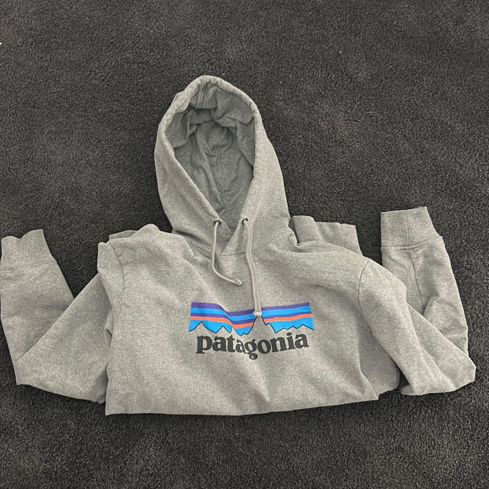 Patagonia sweatshirt